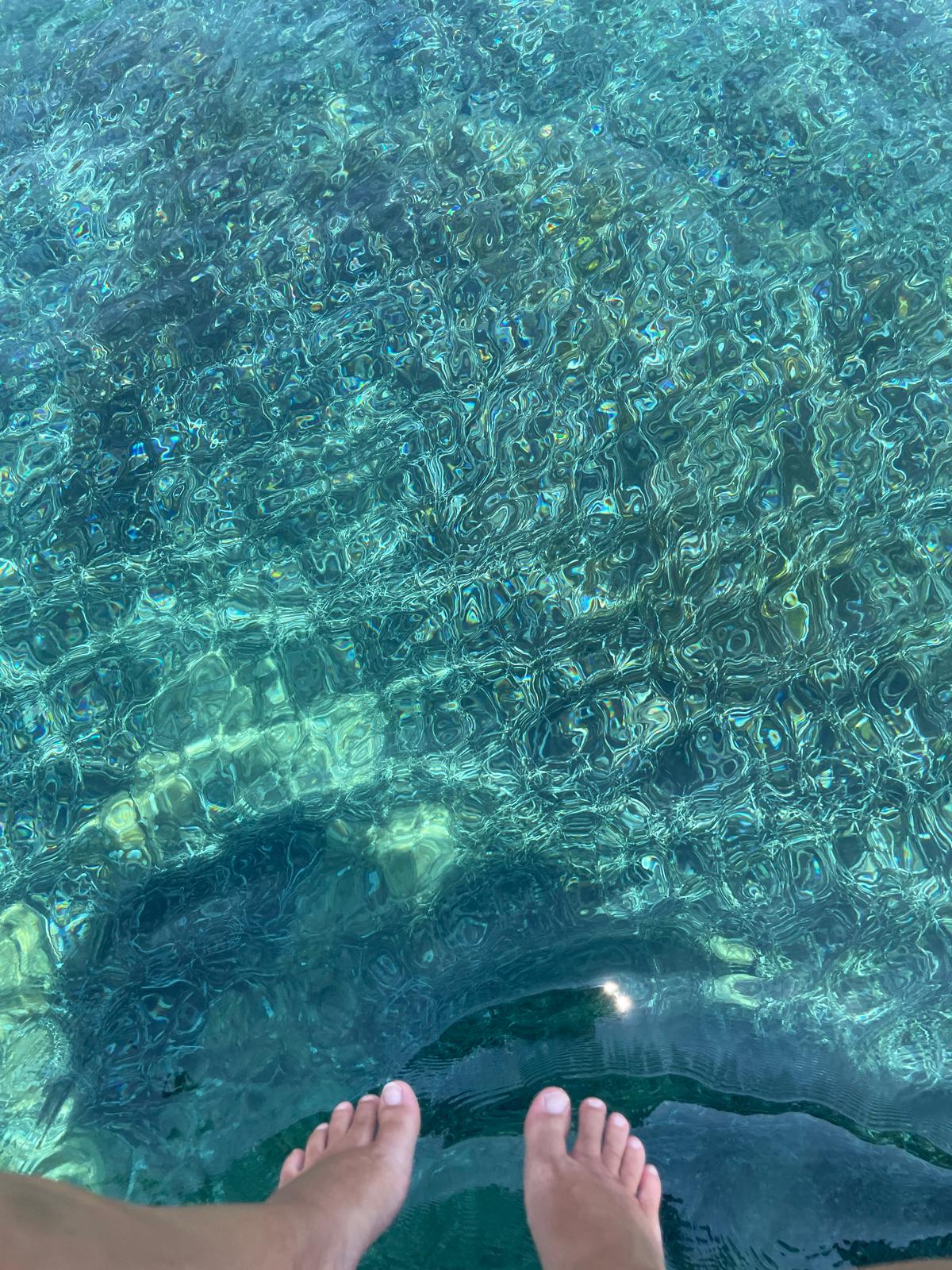 descrizione alternativa