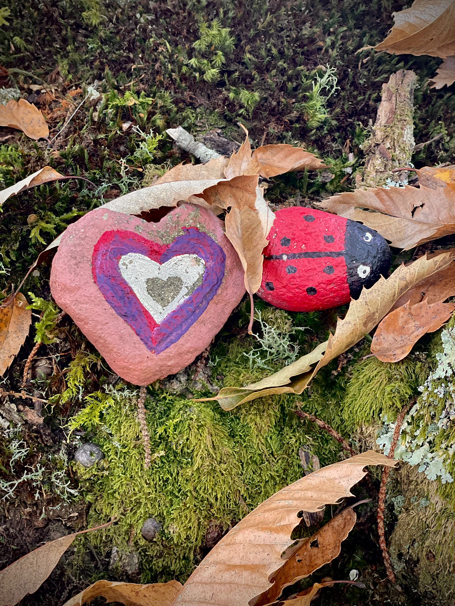 Lancio di pensieri fuori programma-Pietro4